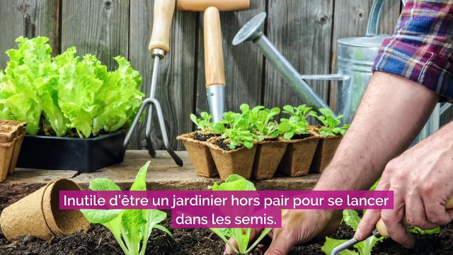 Jardinage : ne jetez plus vos boites à œufs, voici comment les réutiliser au jardin