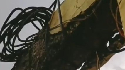 खंडवा: नगर निगम की बिल्डिंग से गिरा प्लास्टर,नेता प्रतिपक्ष ने लगाए गंभीर आरोप