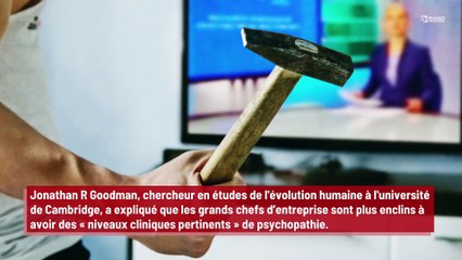 Un expert affirme qu’être psychopathe est un ‘secret qui mène au succès’ !