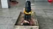Video: नोएडा के भैरवनाथ मंदिर में होती है कुत्ते की पूजा, कारण जानकर रह जाएंगे हैरान