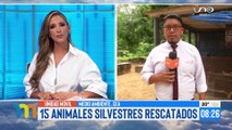 Gobernación logra rescatar a 15 animales silvestres dentro de la ciudad