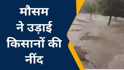 बीकानेर: बेमौसम बरसात और ओलावृष्टि से हुआ फसलों को नुकसान, देखें ये तस्वीरें