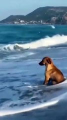 When you realize the weekend is over