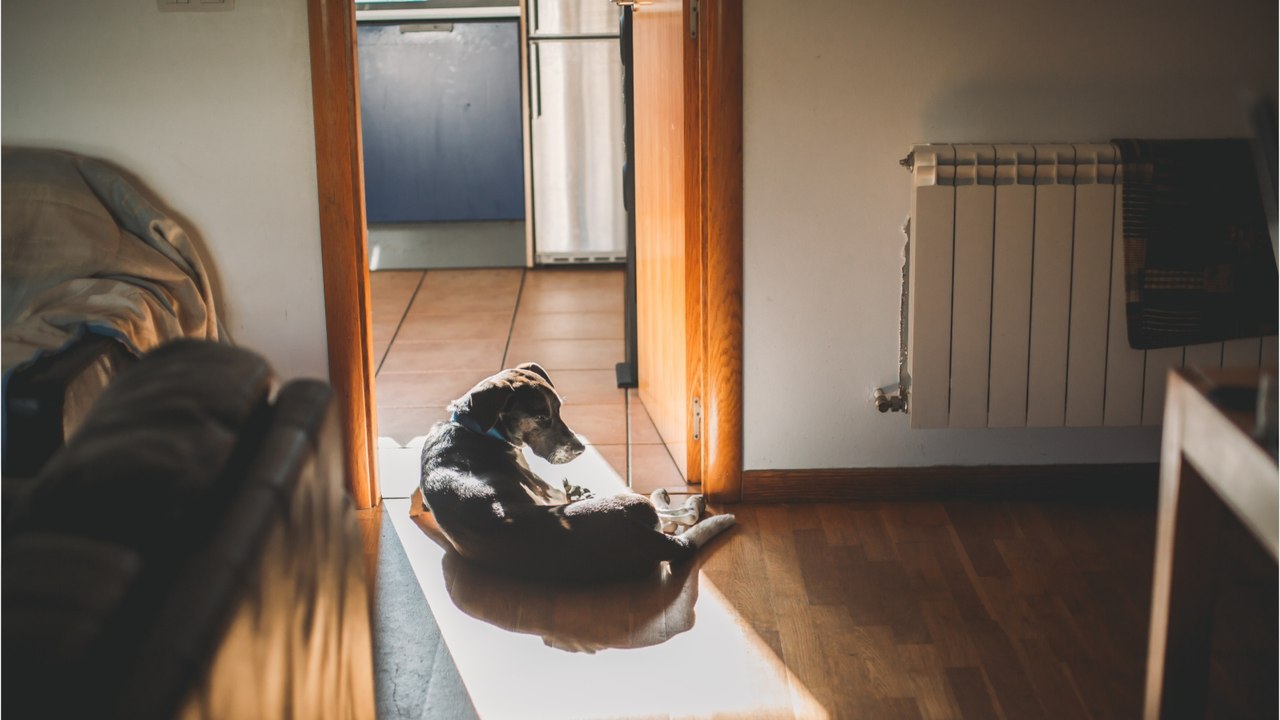 Energiesparend: bei jo-jo-wetter konstant niedrig heizen