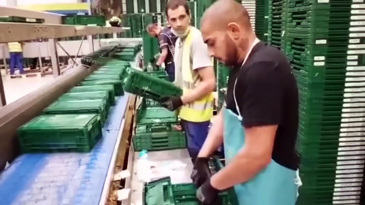 Videos Satisfactorios de Trabajadores que Hacen Su Trabajo a la Perfección