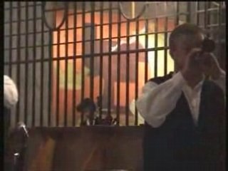 Kevrenn Alre - Pachpi