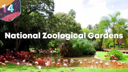 15 Most Amazing Zoos in the World