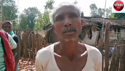 sidhi: orgy of elephants in villages adjacent to sanjay tiger reserve area