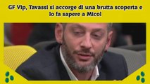 GF Vip, Tavassi si accorge di una brutta scoperta e lo fa sapere a Micol