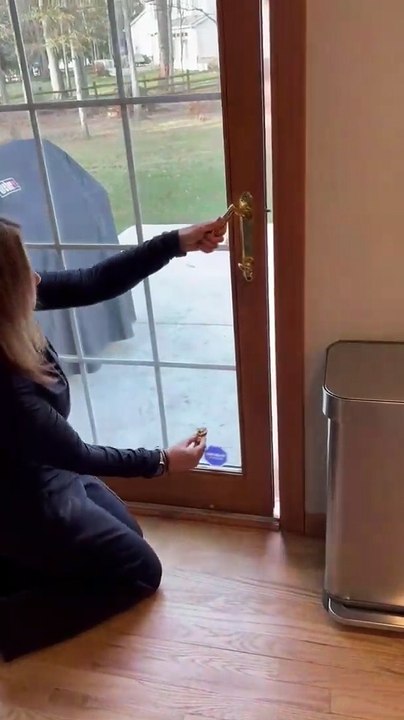 Woman hand feeds friendly wild squirrel