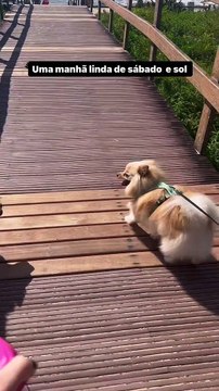 Médica grava momento em que cai dentro de buraco em passarela de Itajaí