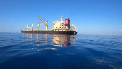 Daño a arrecife de Puerto Morelos