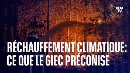 Énergie, transports, alimentation: ce que le Giec préconise pour limiter le réchauffement climatique