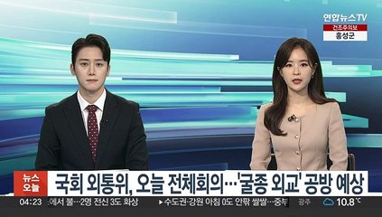 국회 외통위, 오늘 전체회의…'굴종 외교' 공방 예상