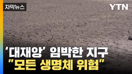 [자막뉴스] "모든 생명체가 위험" 경험하지 못한 '대재앙' 임박 / YTN