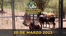 Noticias Regiones de Venezuela hoy - Lunes 20 de Marzo de 2023 @VPItv