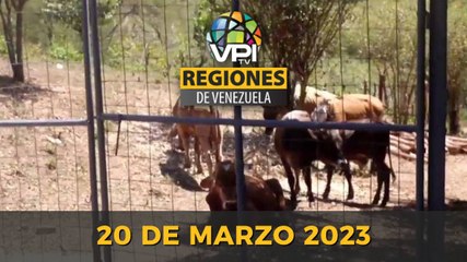 Noticias Regiones de Venezuela hoy - Lunes 20 de Marzo de 2023 @VPItv