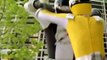 Power Rangers Operation Overdrive E008 - Both Sides Now