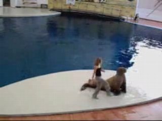 Un morse danse du Michael Jackson !!!