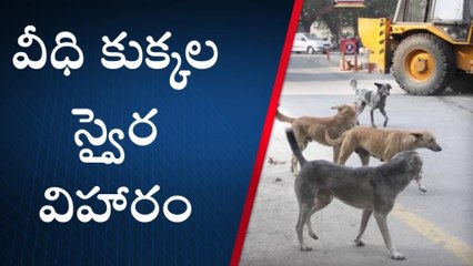పాలేరు: వీధి కుక్కల బెడదతో హడలెత్తుతున్న ప్రజలు