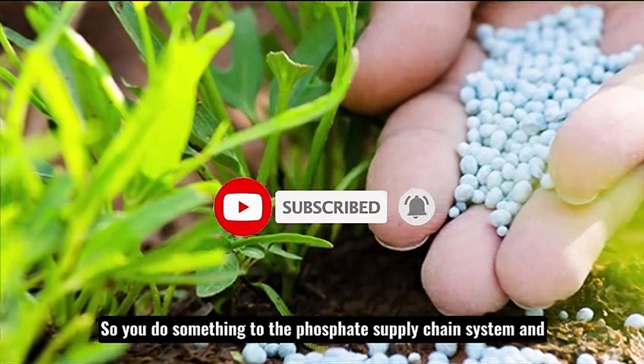 Peter Zeihan  Its Really Shocking Most People Still Dont Realize Whats About To Come_