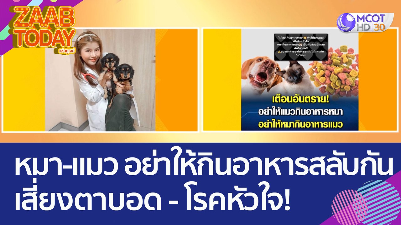 เตือนคนเลี้ยงหมา - แมว อย่าให้กินอาหารสลับกัน เสี่ยงตาบอด - โรคหัวใจ! (20 มี.ค. 66) แซ่บทูเดย์