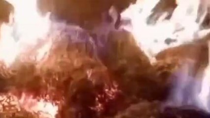 সর্বনাশ, গমের জমিতে আগুন! সর্বস্বান্ত চাষী, দেখুন আগুনের ভিডিও