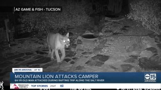 64-year-old man attacked by mountain lion in Gila County