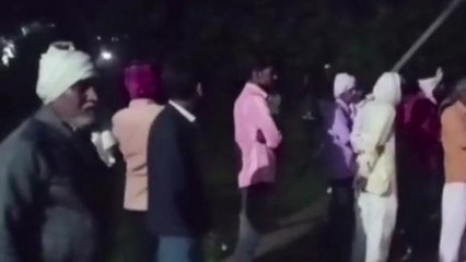 मथुरा: बंदरों को भगाने के चक्कर में छत से गिरकर मौत, परिजनों में मचा कोहराम