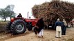 Two Tractors Pulling A Sugar Cane Trolley 2022 || ifi vlogs || iftikhar ahmed sargana