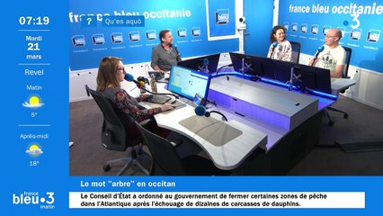 Qu'es aquò: les arbres et la biodiversité