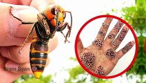 5 Most Dangerous Insects_ Dangerous Bugs in the World_ दुनिया के सबसे खतरनाक कीड़े