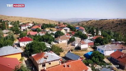 Aşık Veysel'in vefatının 50. yılı