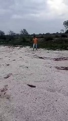 बेमौसम बारिश और ओलों ने बर्बाद की खेती