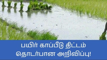 பயிர்காப்பீடு திட்டத்துக்கு ரூ. 2337 கோடி ஒதுக்கீடு- வேளாண் துறை அமைச்சர்!