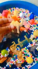 Surprise for Kids with Animals #toysforkids #creativeshorts #shorts