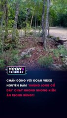 Khủng long cổ dài còn tồn tại đến bây giờ #khunglong #funny #chon #chandong