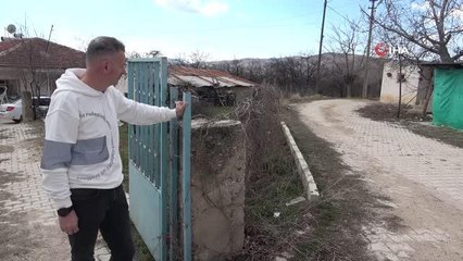 Depremde enkazdan kurtarılan kedi, mikroçip sayesinde sahibine teslim edildi