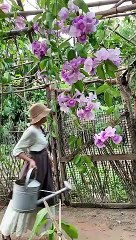 Enjoy beautiful nature with rural life