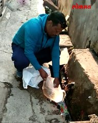 समृद्धी महामार्गावर पोलीस आणि तस्करांत 4 तासांची फिल्मीस्टाईल चकमक