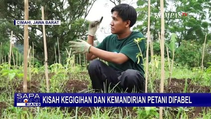 Berbisnis & Berdaya, Kelompok Petani Difabel di Cimahi Menamai Dirinya Tumbuh Mandiri!