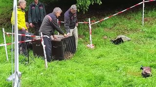 Animals Being FREED For The First Time!