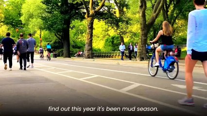 Peter Zeihan  I Am Shocked Things Are Getting Much Uglier For Russia_