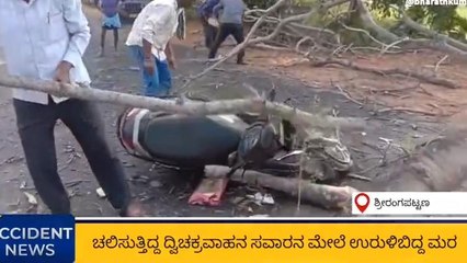 ಮಂಡ್ಯ: ಕೊಂಬೆ ಬಿದ್ದು ಸವಾರ ಗಂಭೀರ ; ಈ ನಿರ್ಲಕ್ಷ್ಯಕ್ಕೆ ಹೊಣೆ ಯಾರು?