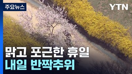 [날씨] 완연한 봄기운...서울 벚꽃도 '기지개' / YTN