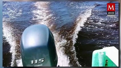 Detectan marea roja tóxica en Manzanillo; alertan sobre consumir moluscos bivalvos