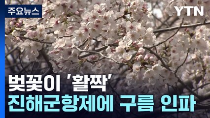 활짝 핀 벚꽃만큼 반가운 3년 만의 봄 축제 / YTN