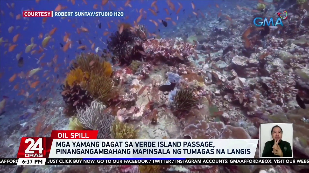 Mga yamang dagat sa Verde Island Passage, pinangangambahang mapinsala ng tumagas na langis | 24 Oras
