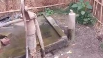 पूर्णिया: दो वर्ष बीत गए नल की टूटी लगे, नहीं निकला एक बूंद भी जल