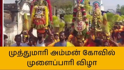 புதுக்கோட்டை: முத்து மாரியம்மன் கோயில் முளைப்பாரி திருவிழா!